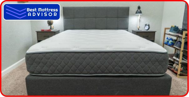 best 12 inch queen mattress under 250
