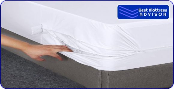 best mattress pad natural and bed bug proof