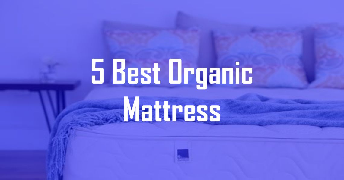 dax stores organic mattress