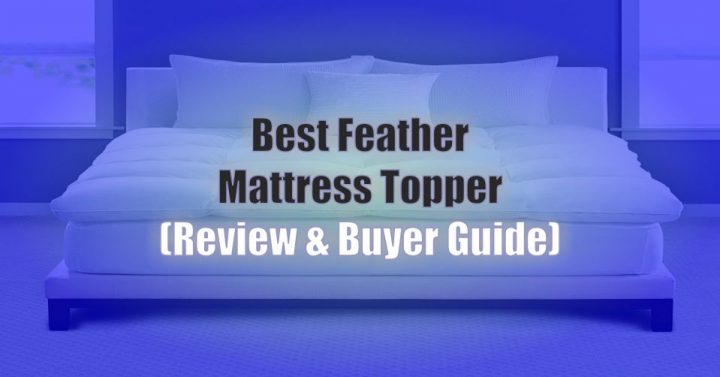 feather mattress topper reviews