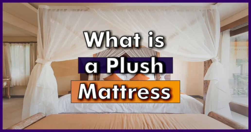 what-is-a-plush-mattress-updated-2023-best-mattress-advisor