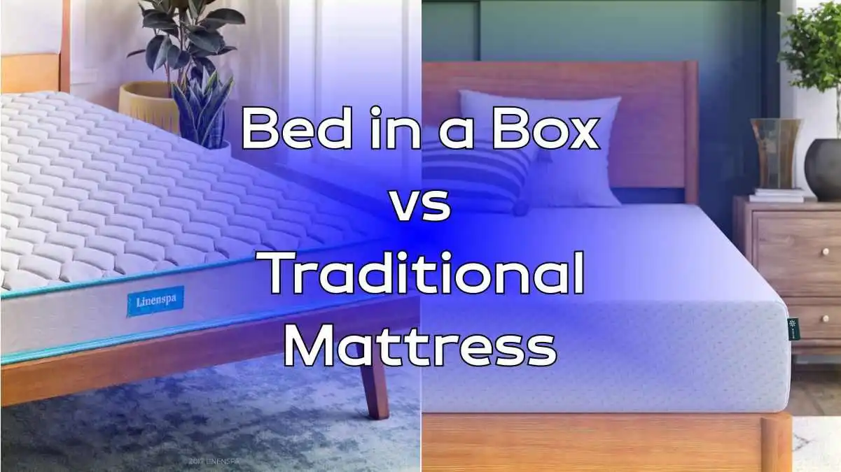 Bed in a Box vs. Traditional Mattress Comparison 2023